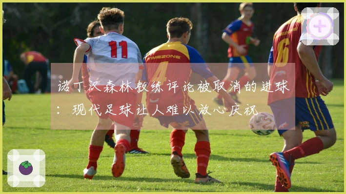 诺丁汉森林教练评论被取消的进球：现代足球让人难以放心庆祝