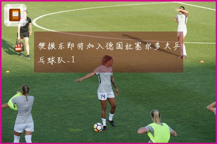 樊振东即将加入德国杜塞尔多夫乒乓球队_1