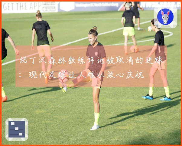 诺丁汉森林教练评论被取消的进球：现代足球让人难以放心庆祝